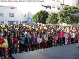 My Gallery (15/126)
