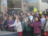 My Gallery (21/126)