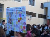 My Gallery (42/126)