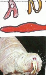 My Gallery (13/33)