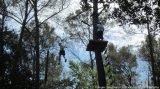 My Gallery (73/188)