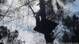 My Gallery (74/188)