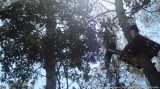 My Gallery (80/188)