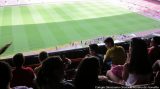 My Gallery (122/188)