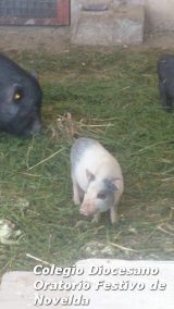 My Gallery (102/127)