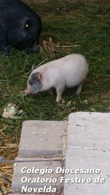 My Gallery (103/127)