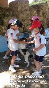 My Gallery (110/127)