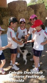 My Gallery (111/127)