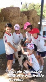 My Gallery (112/127)