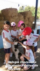 My Gallery (113/127)