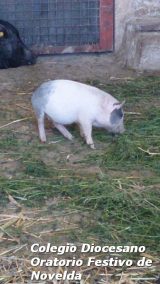 My Gallery (114/127)