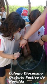 My Gallery (118/127)