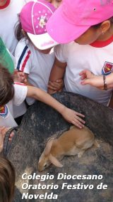 My Gallery (120/127)