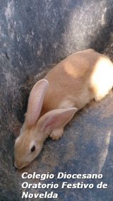 My Gallery (121/127)