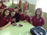My Gallery (19/20)