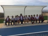 My Gallery (6/25)