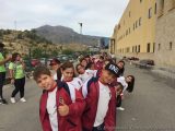My Gallery (13/25)